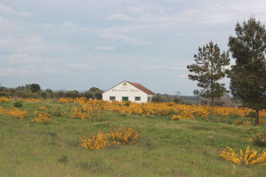 Quinta do Carvalhão Torto